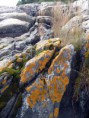 /album/kuvagalleria/moss-on-rock-jpg/